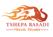 Tshepa Basadi Group Home Page (3)
